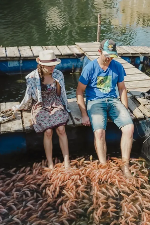 Fish Therapy Madu River Boat Safari Captain's Boat House Sri Lanka